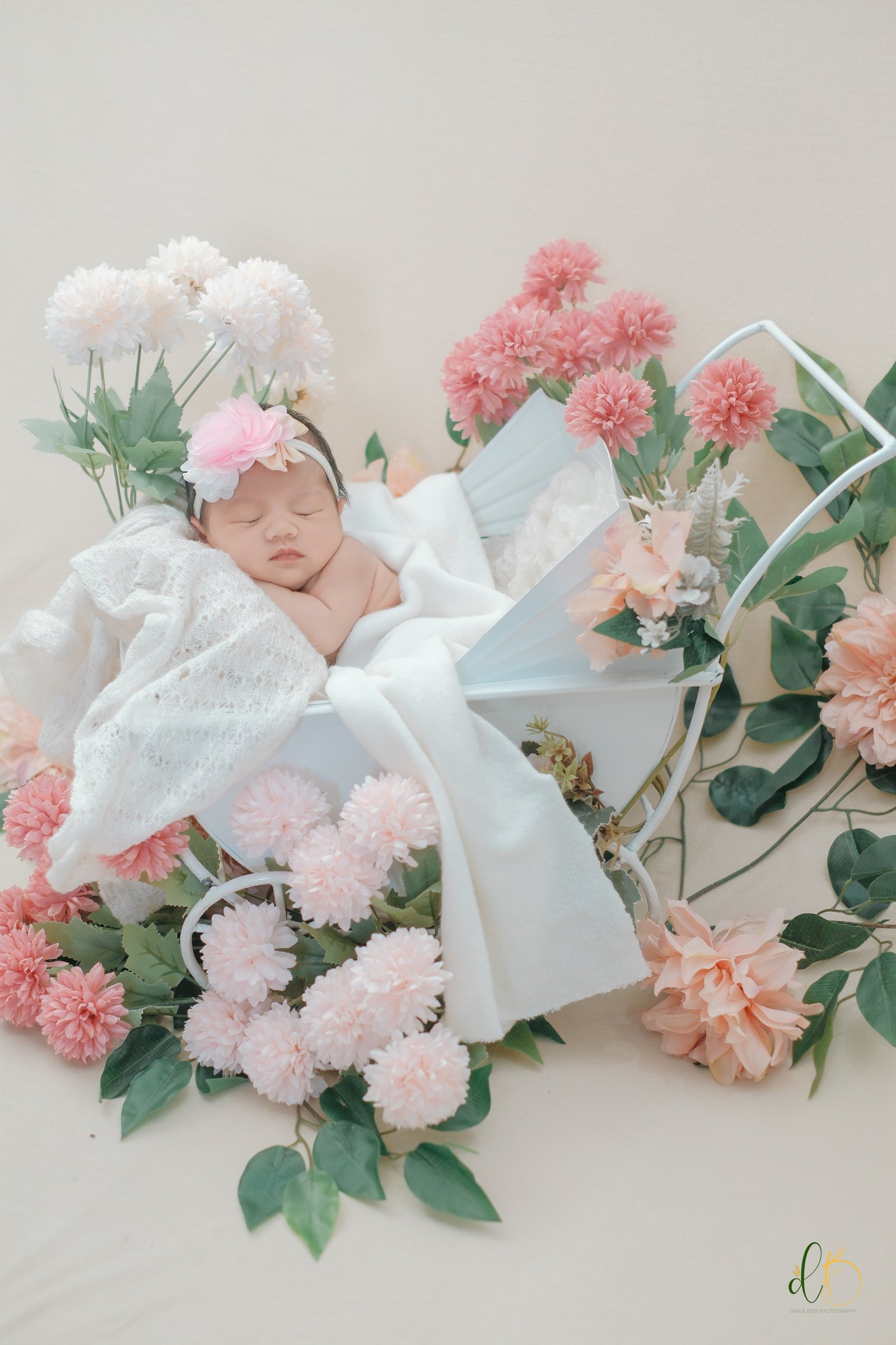 Newborn Session