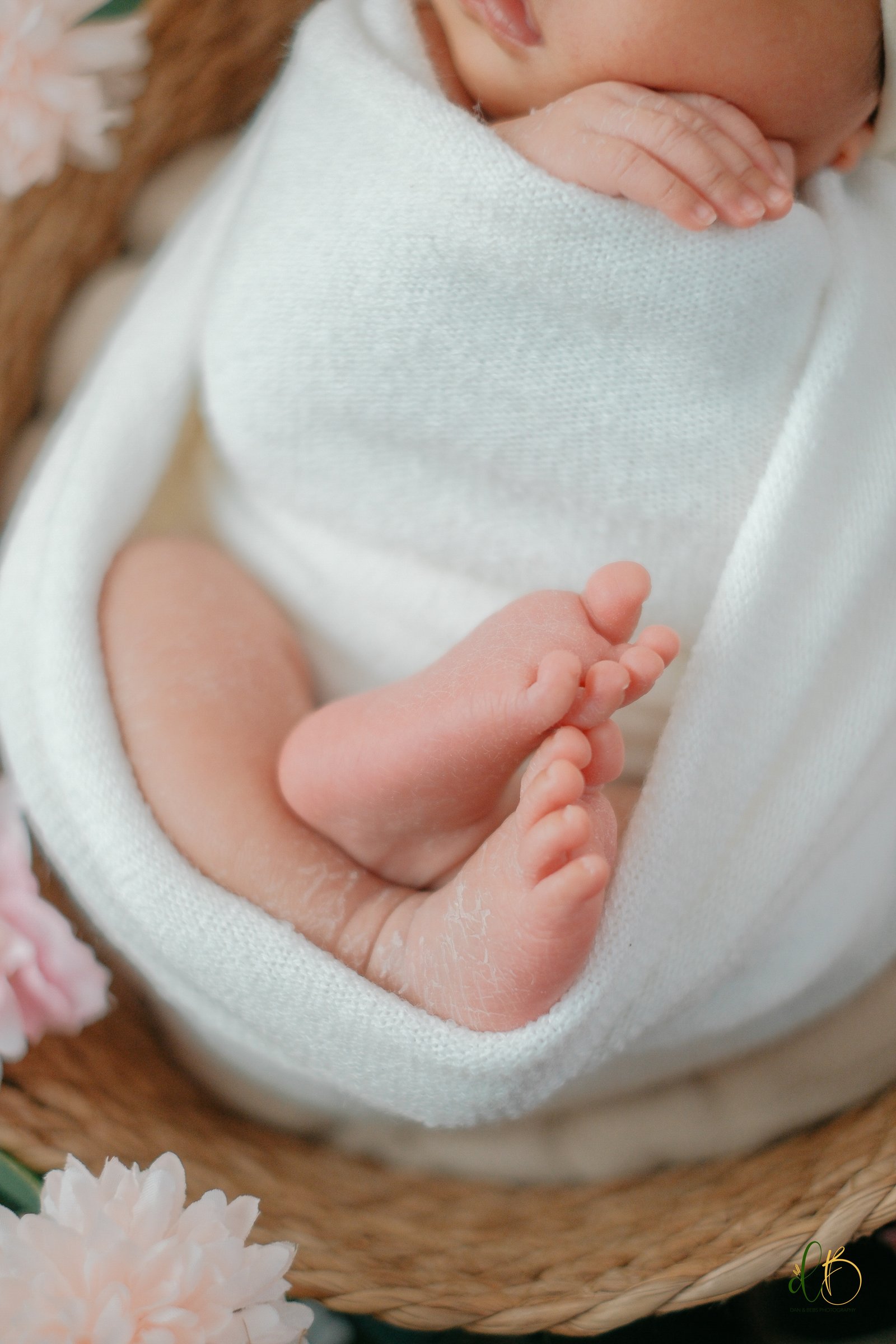 Newborn Session