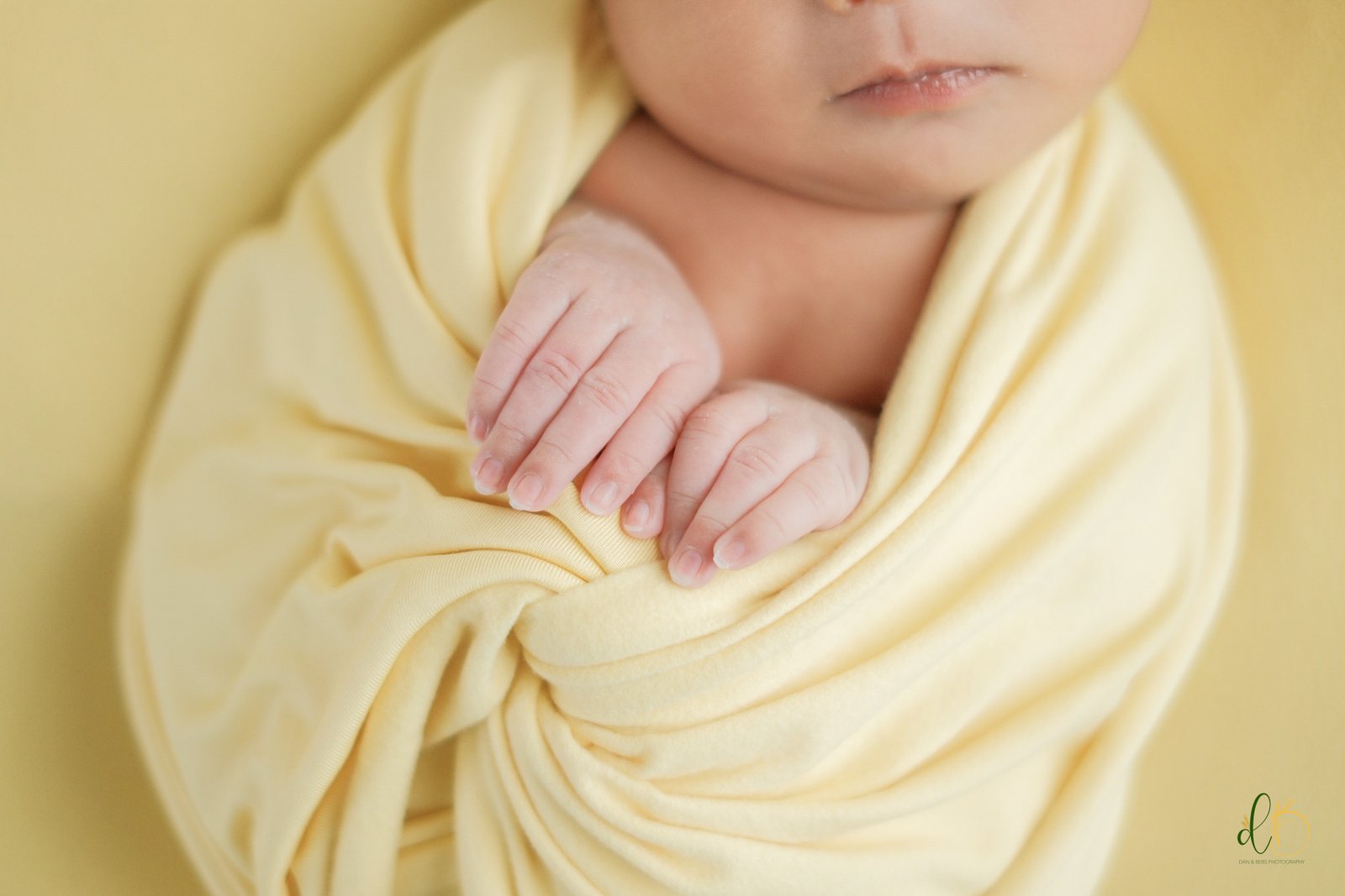 Newborn Session