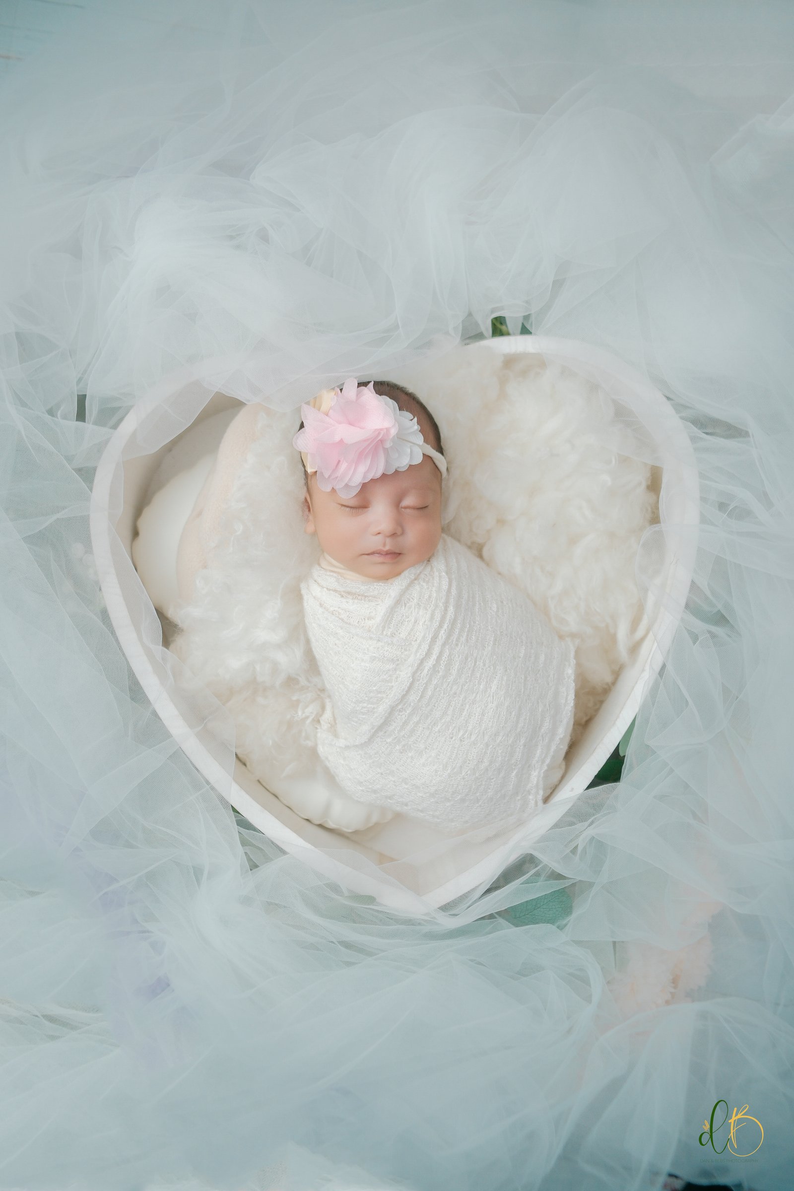Newborn Session