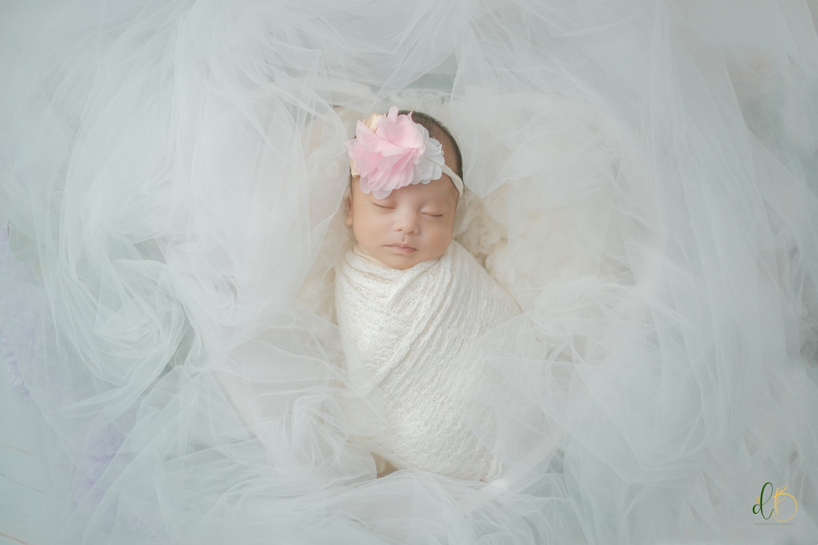 Newborn Session