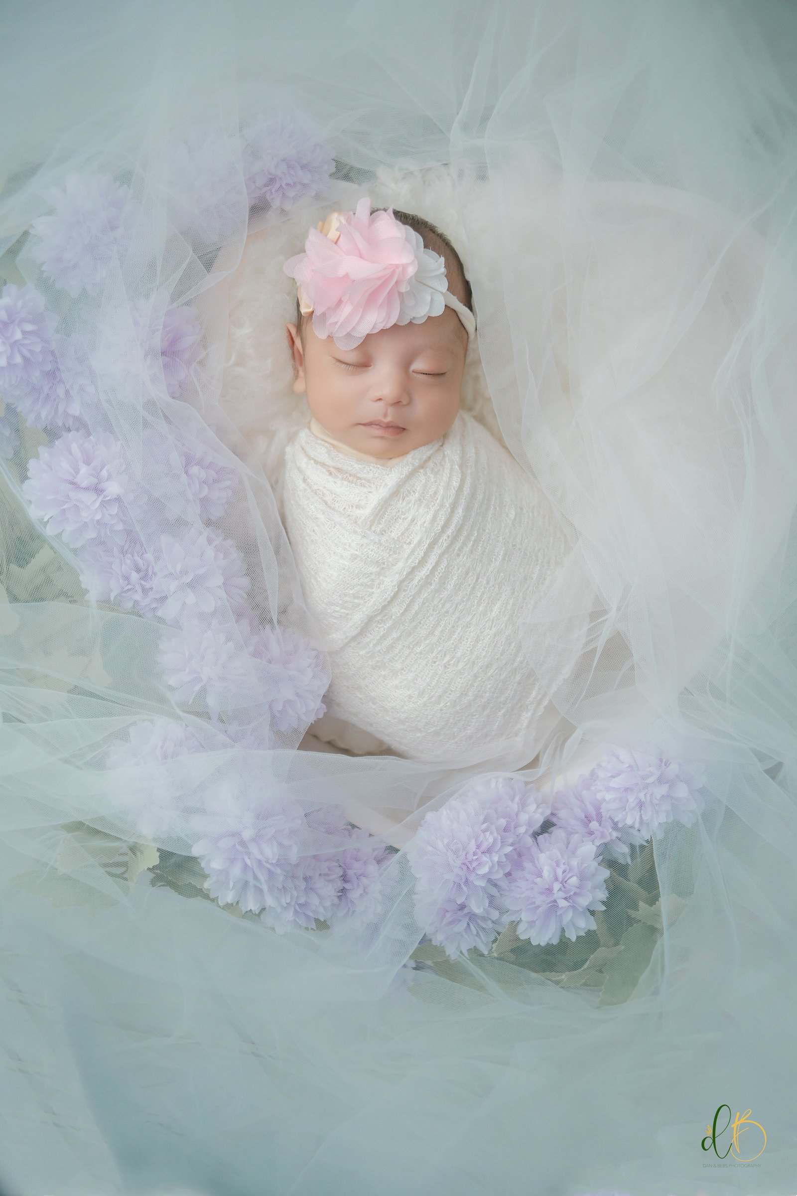 Newborn Session
